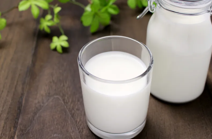 国内纯牛奶哪个牌子好，7种脱颖而出的牛奶品牌分享