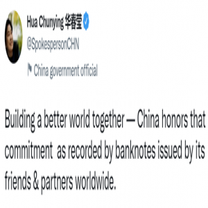 中国建造的国际工程有哪些，华春莹推特连发13张图展示